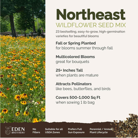 Eden Brothers Northeast Wildflower Mixed Seeds in garden bed attracting bees and butterflies