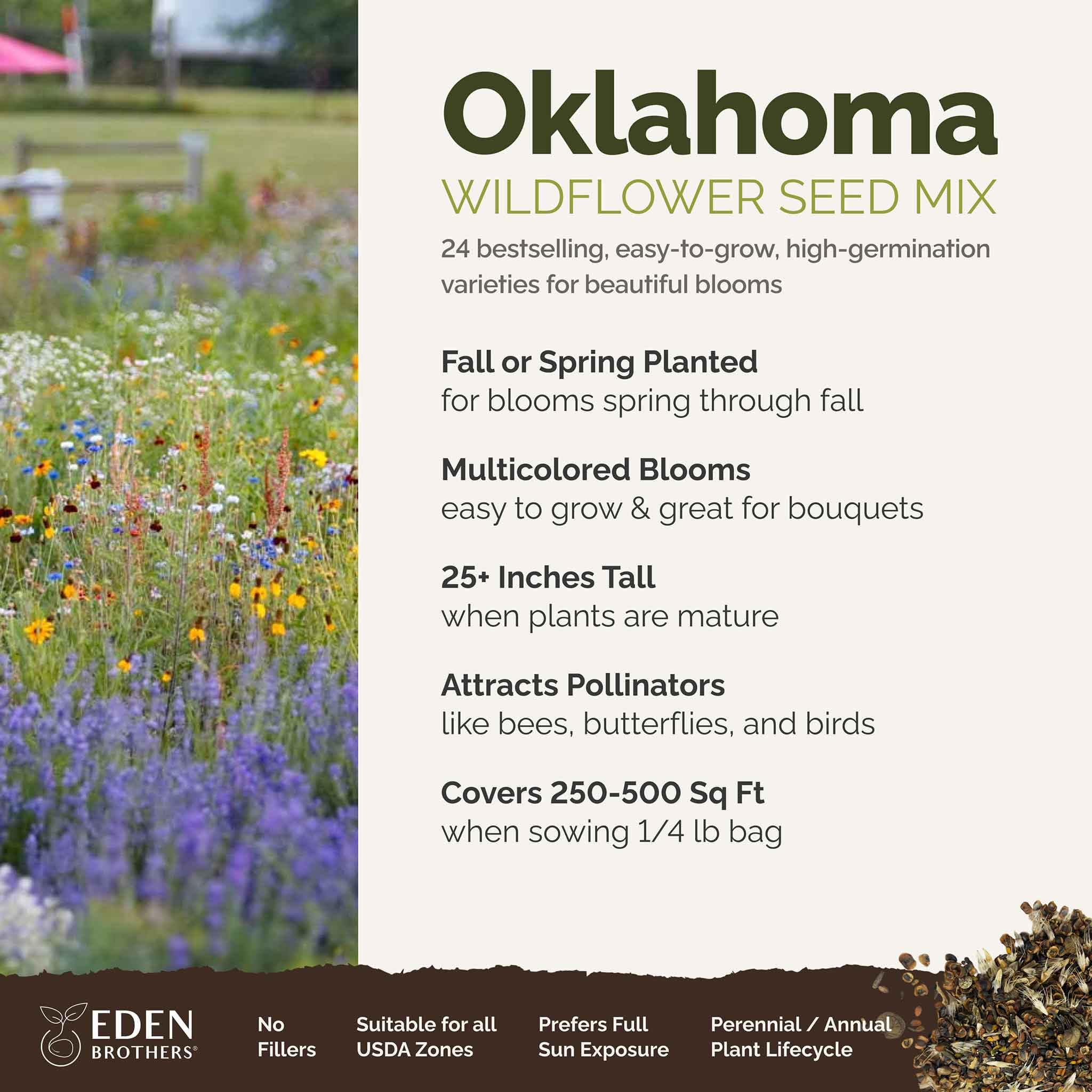 Pack of Eden Brothers Oklahoma Wildflower seeds for bulk sowing and bright borders.