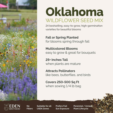 Pack of Eden Brothers Oklahoma Wildflower seeds for bulk sowing and bright borders.