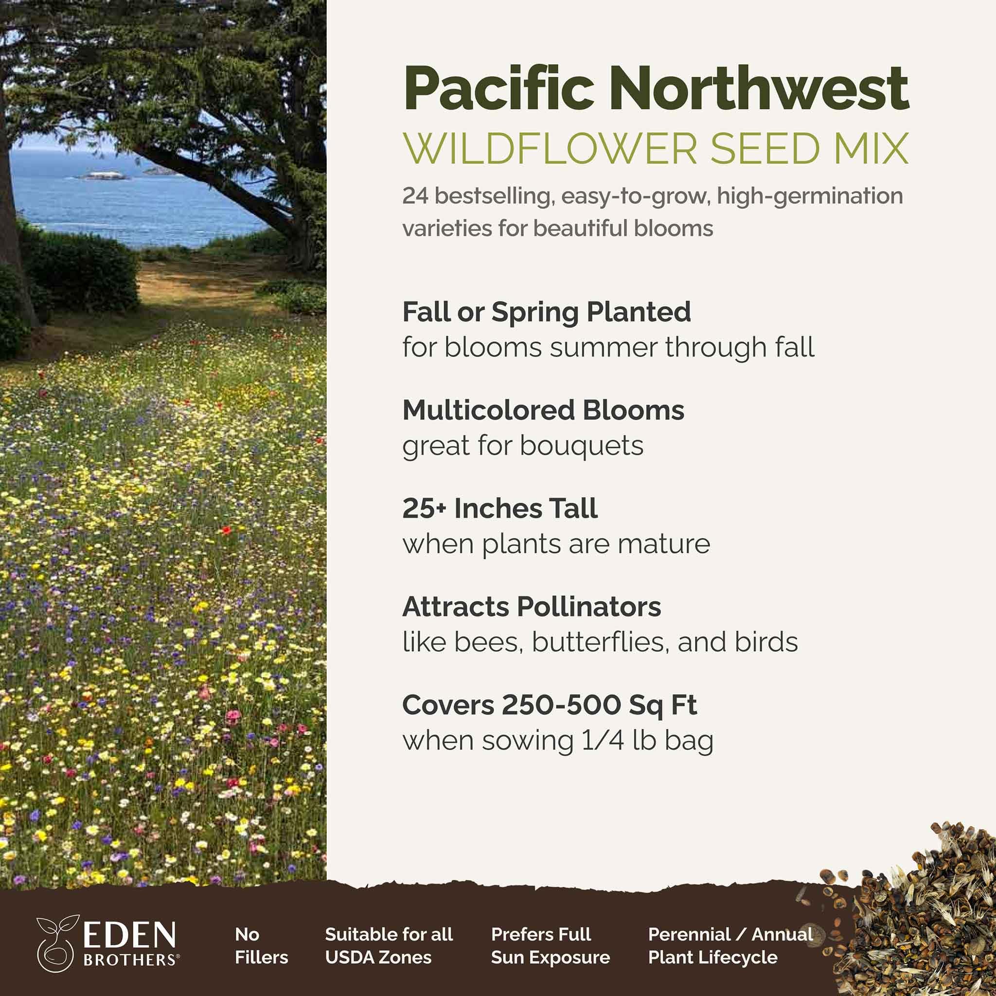 Eden Brothers California Bluebell flowers brighten borders and support pollinators.