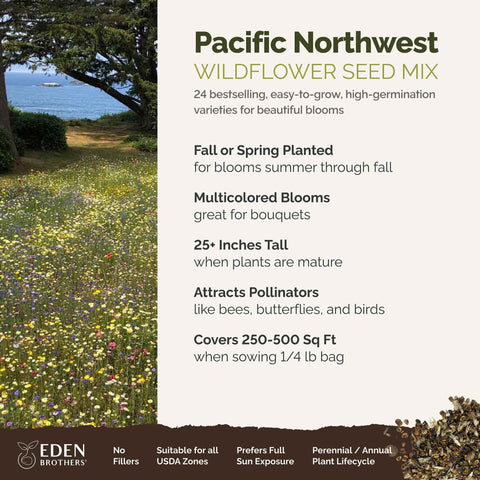Eden Brothers California Bluebell flowers brighten borders and support pollinators.