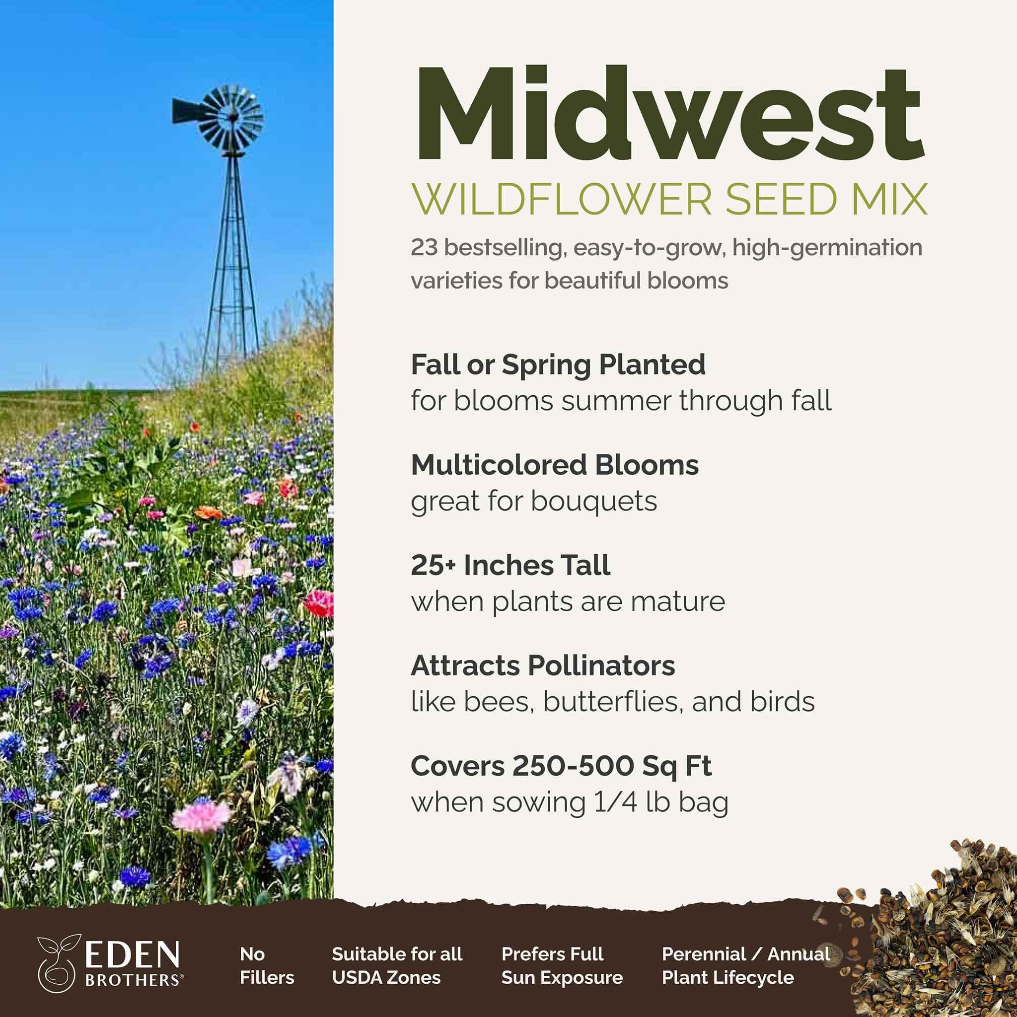 Eden Brothers pollinator-attracting seed-mix for vibrant garden spaces.