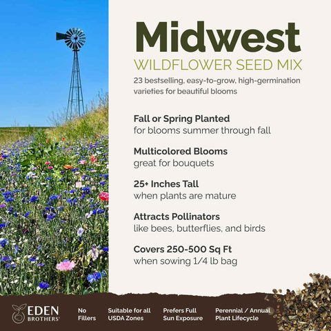 Eden Brothers pollinator-attracting seed-mix for vibrant garden spaces.