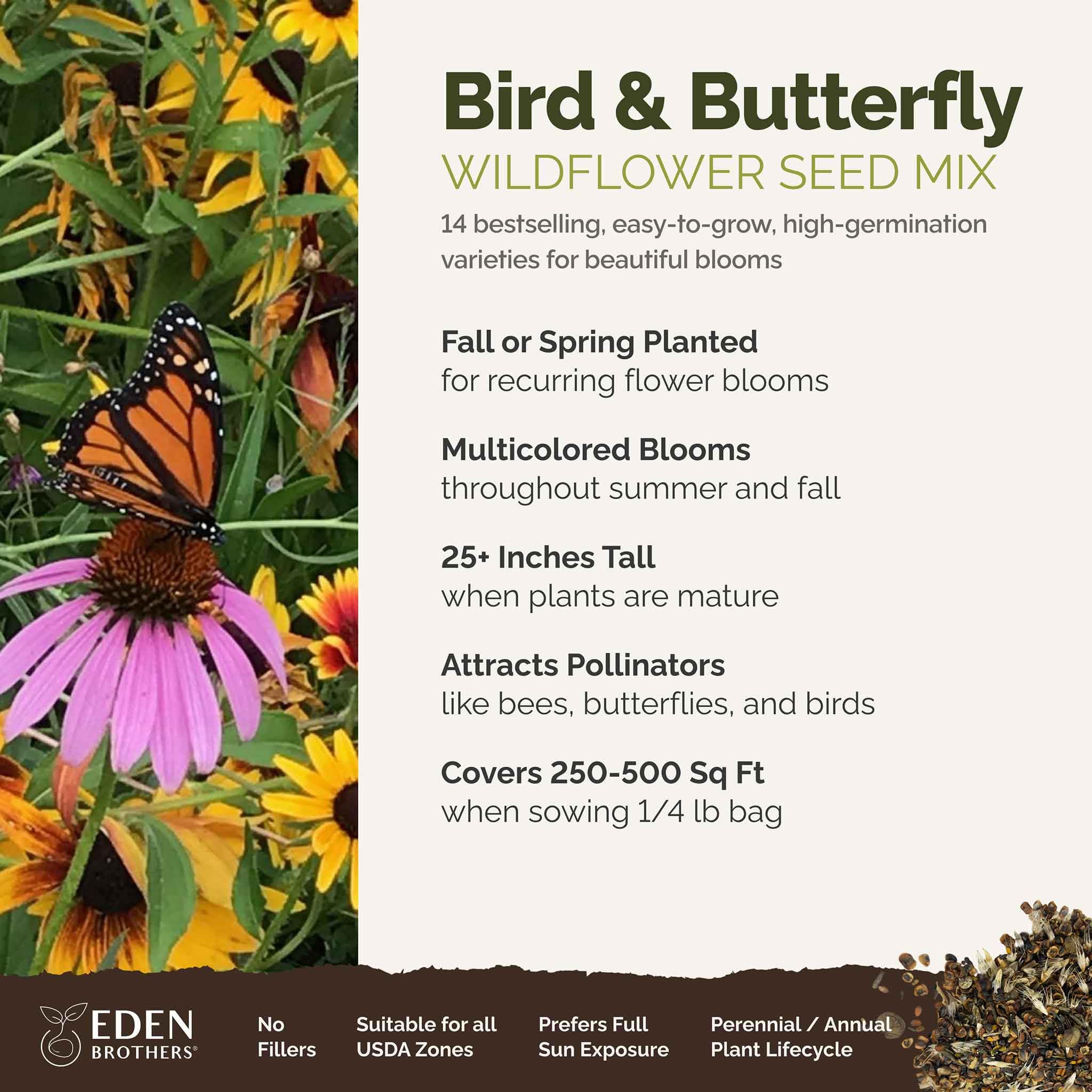 Eden Brothers pollinator-attracting wildflower blend enhances garden color.