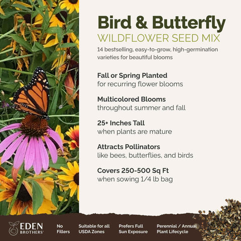 Eden Brothers pollinator-attracting wildflower blend enhances garden color.
