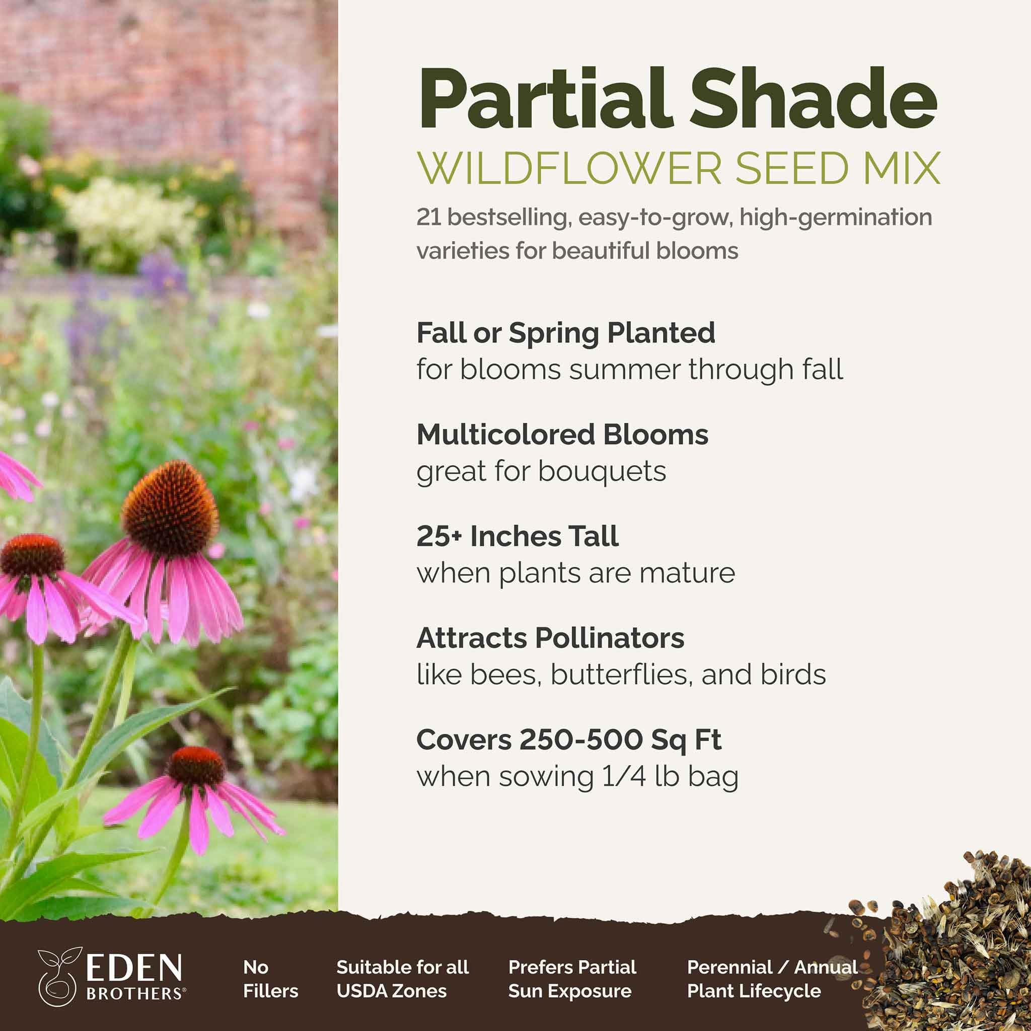 Eden Brothers wildflower border in bloom attracts bees and butterflies for pollinator health.