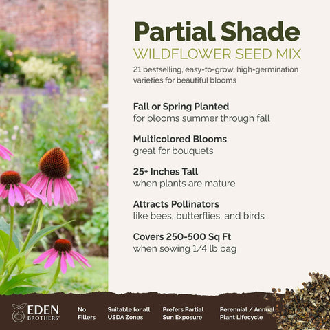 Eden Brothers wildflower border in bloom attracts bees and butterflies for pollinator health.