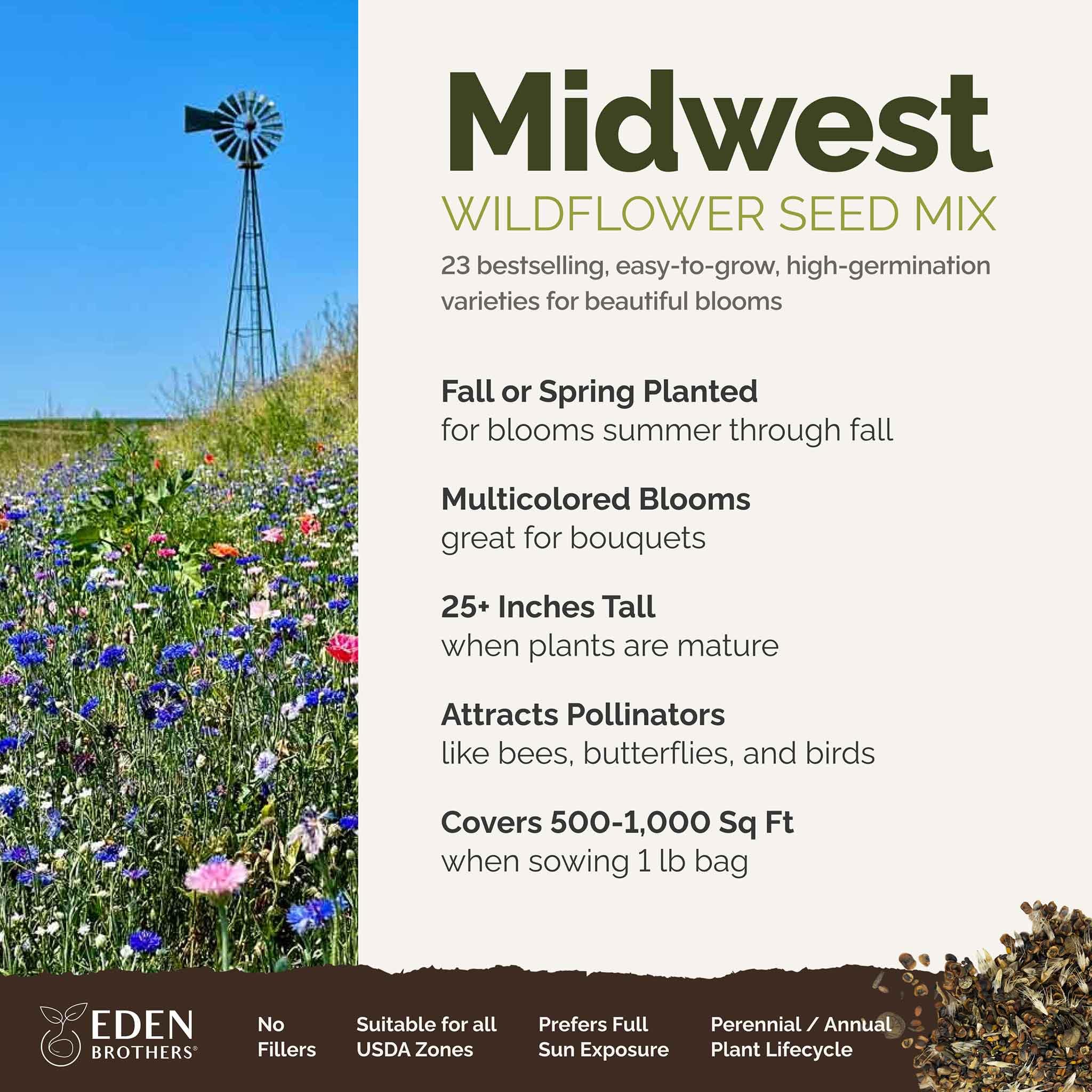 Pollinator-friendly wildflowers from Eden Brothers attracting bees and butterflies
