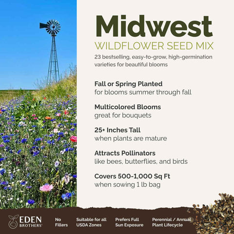Pollinator-friendly wildflowers from Eden Brothers attracting bees and butterflies