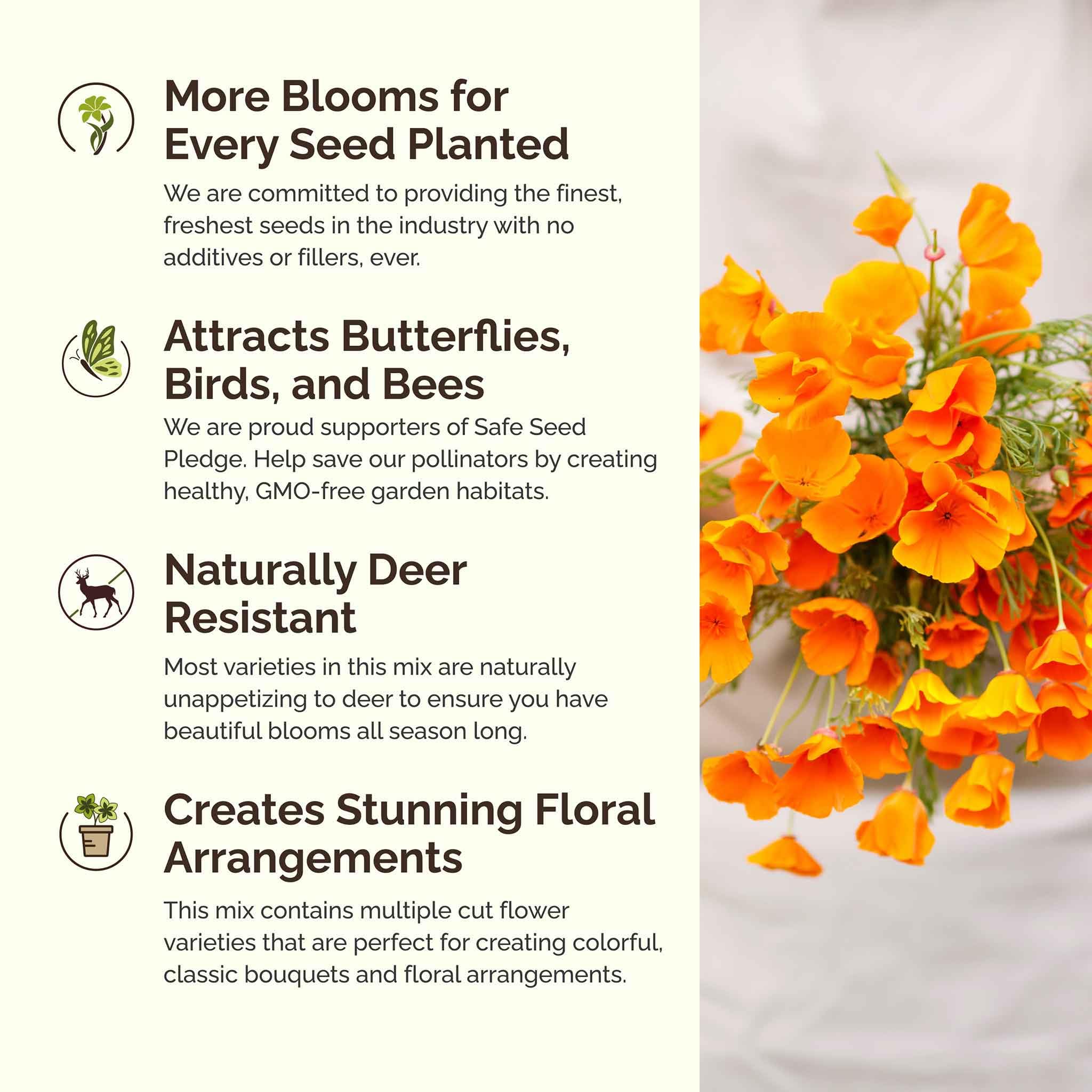 Eden Brothers pollinators on wildflowers attracted to blooms.