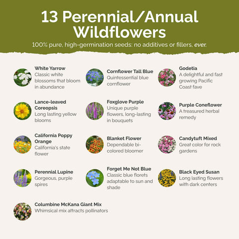 Eden Brothers seed pack closeup highlighting 13 species in the mix.