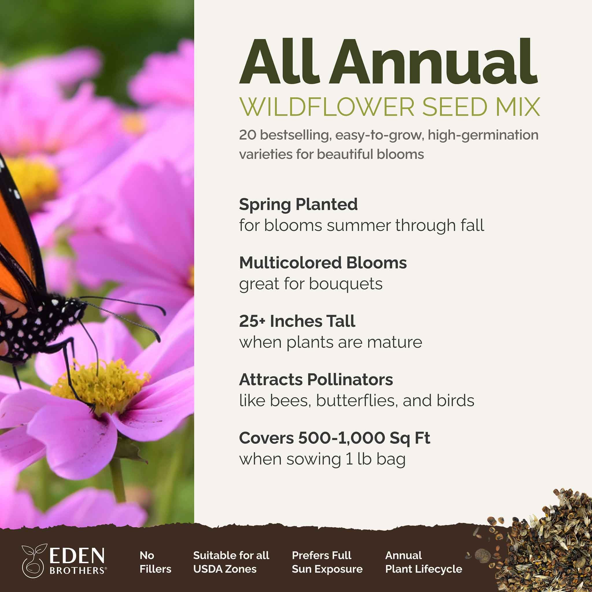 Eden Brothers sunflowers and cosmos bloom to attract bees and butterflies all summer.