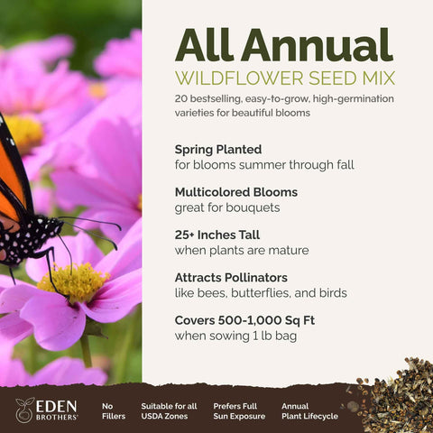 Eden Brothers sunflowers and cosmos bloom to attract bees and butterflies all summer.