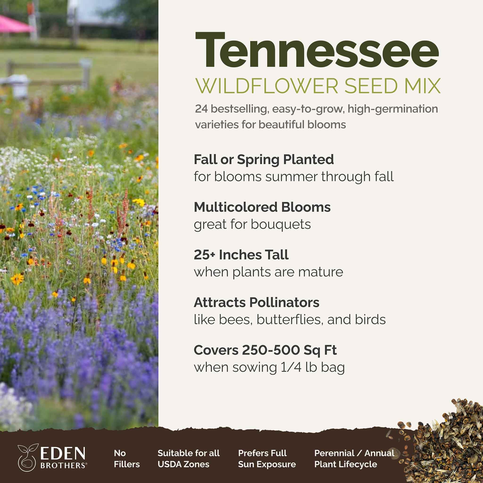 Eden Brothers Tennessee wildflower seeds ground cover idea illustrates dense color.
