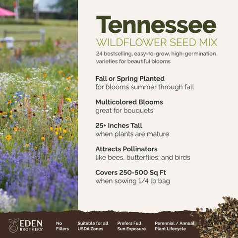 Eden Brothers Tennessee wildflower seeds ground cover idea illustrates dense color.