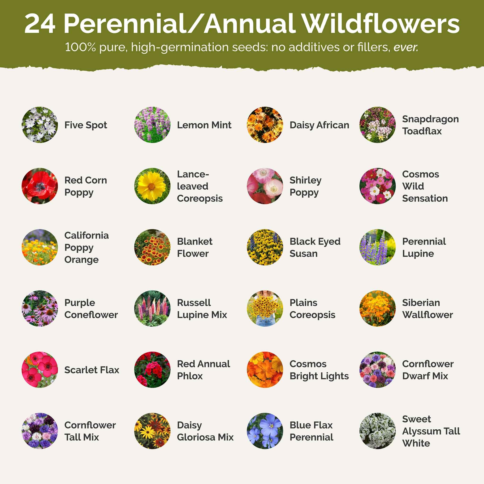 Eden Brothers Tennessee wildflower seeds pollinators attract image highlights bees.