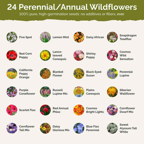 Eden Brothers Tennessee wildflower seeds pollinators attract image highlights bees.