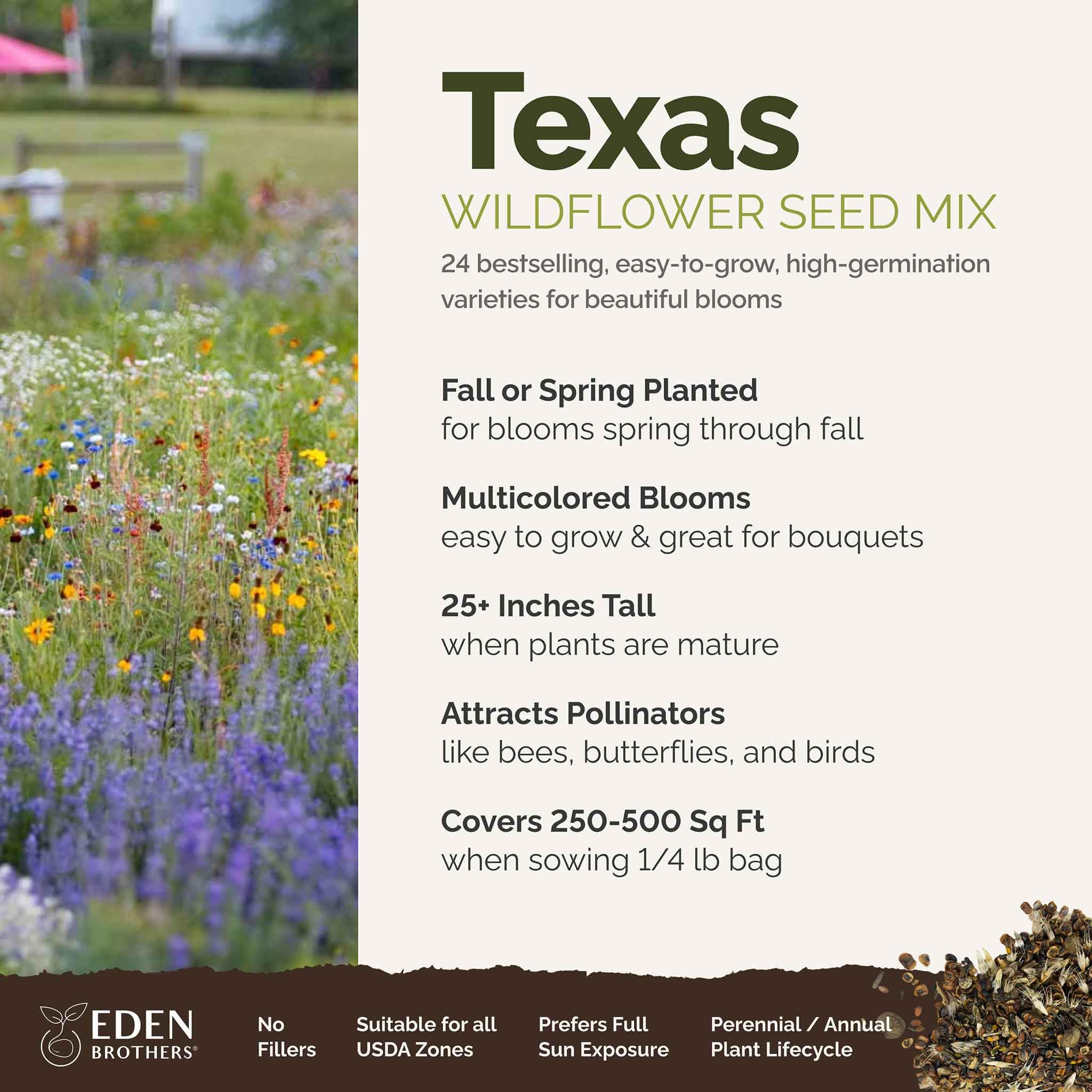 Eden Brothers Texas Wildflower Seeds closeup highlights pure, non-GMO mix for easy planting.