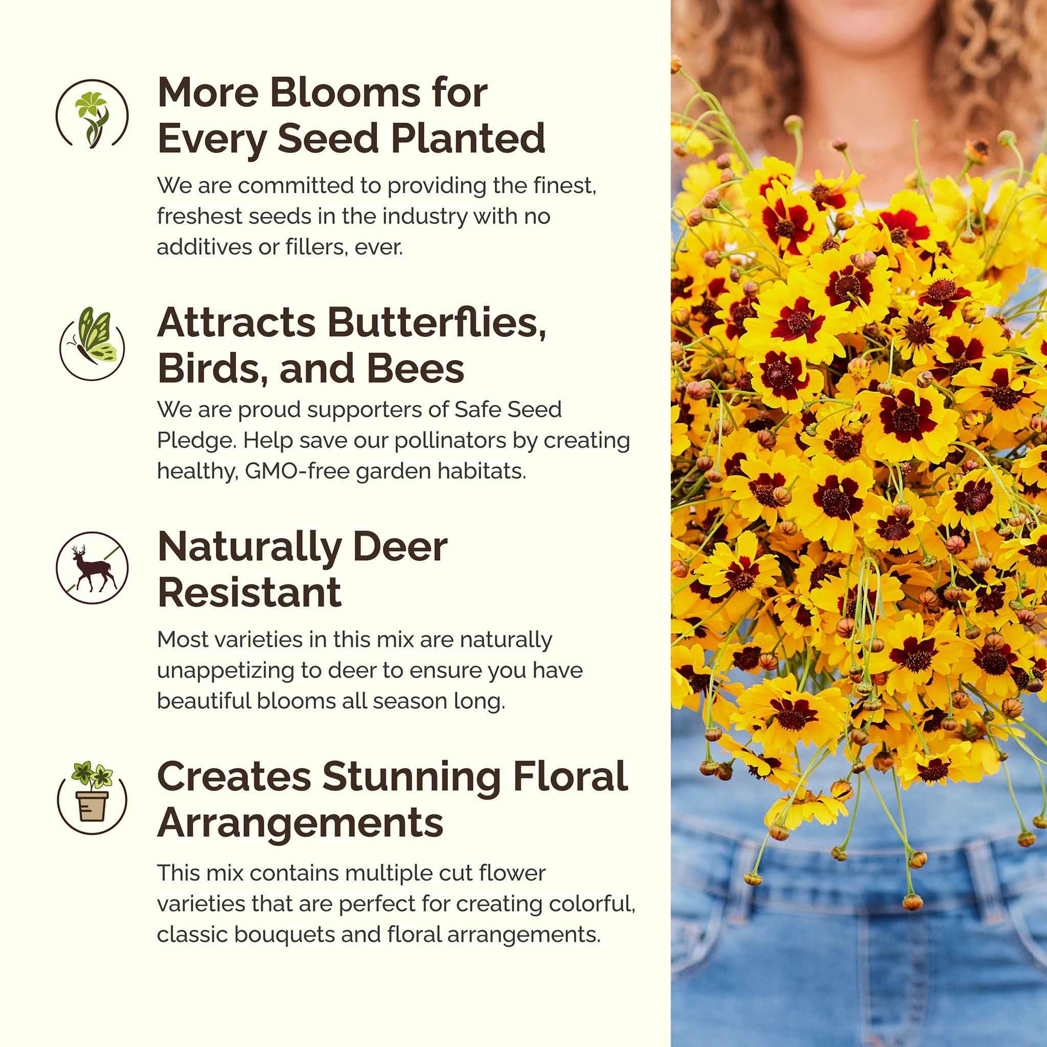 Eden Brothers wildflower mix attracts bees and butterflies, boosting garden pollination.