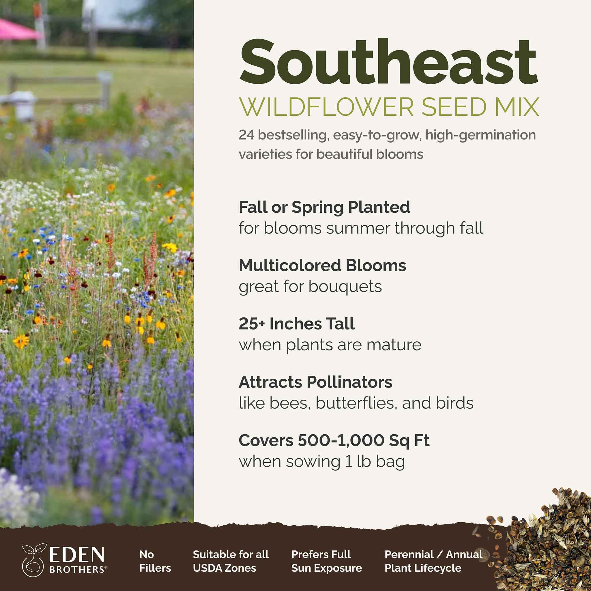 Eden Brothers wildflower mix bloom closeup highlighting vibrant colors