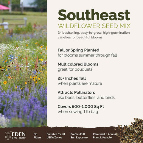 Eden Brothers wildflower mix bloom closeup highlighting vibrant colors