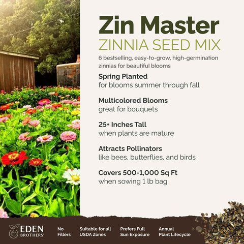 Eden Brothers Zin Master California Giant zinnia close-up for bold garden color