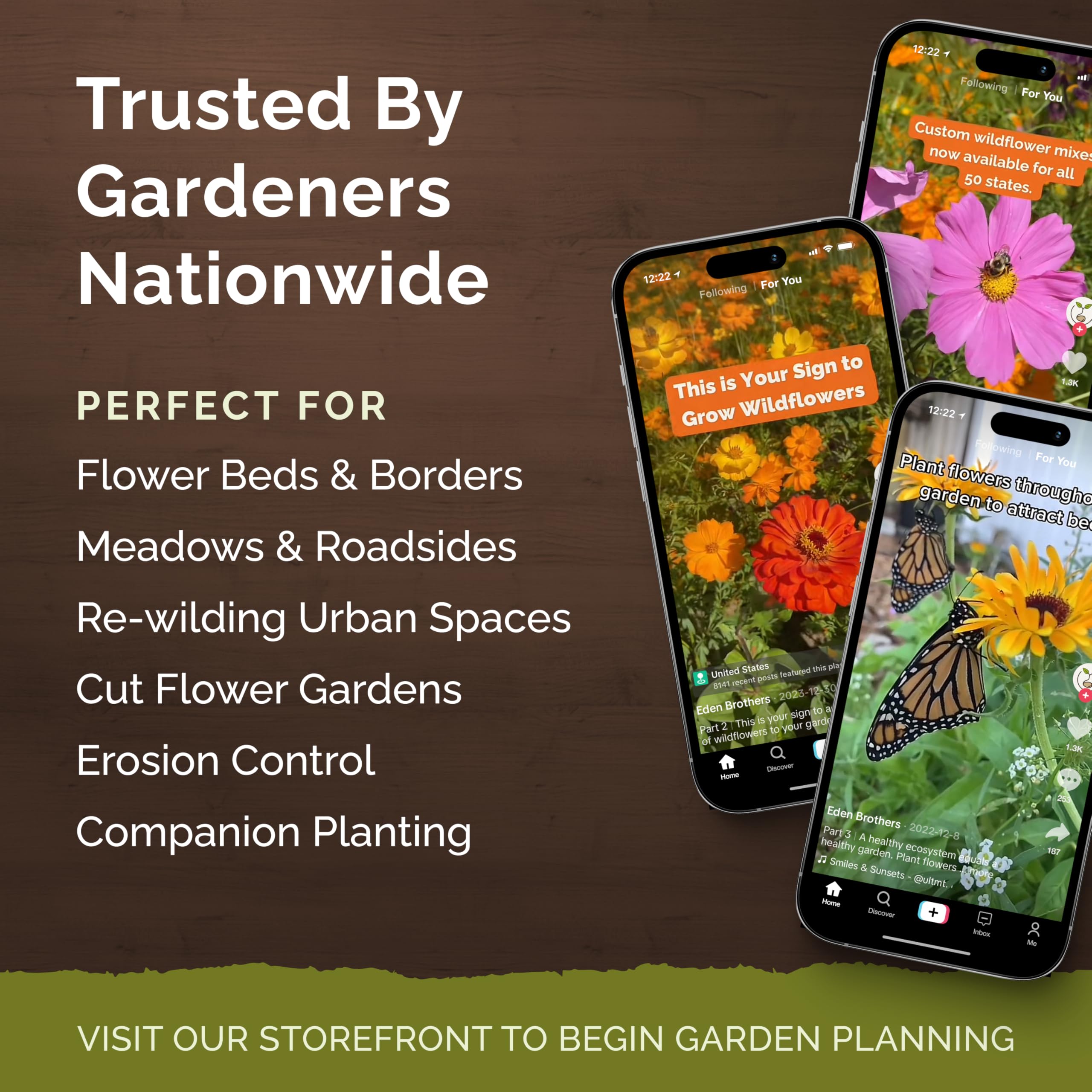 Eden Brothers Zin Master zinnia lilliput delivers tiny blooms for edging