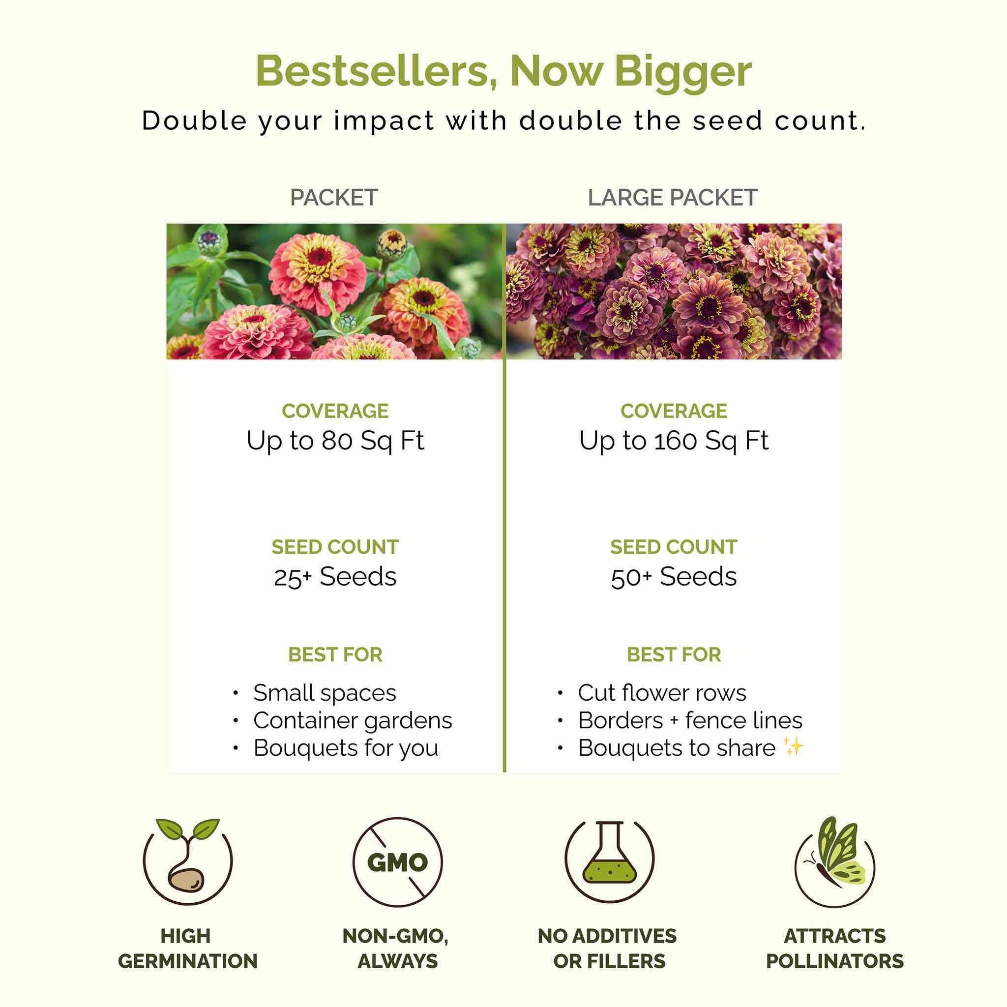 Eden Brothers zinnia spacing guidance shows 6-inch bed layout.