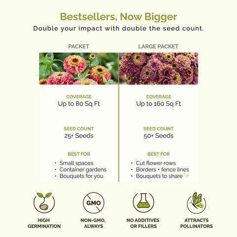 Eden Brothers zinnia spacing guidance shows 6-inch bed layout.