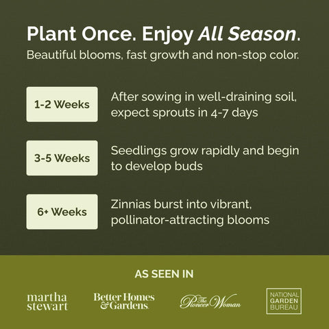 Eden Brothers Cupcakes Pink Mix germination focus, quick color in your beds.