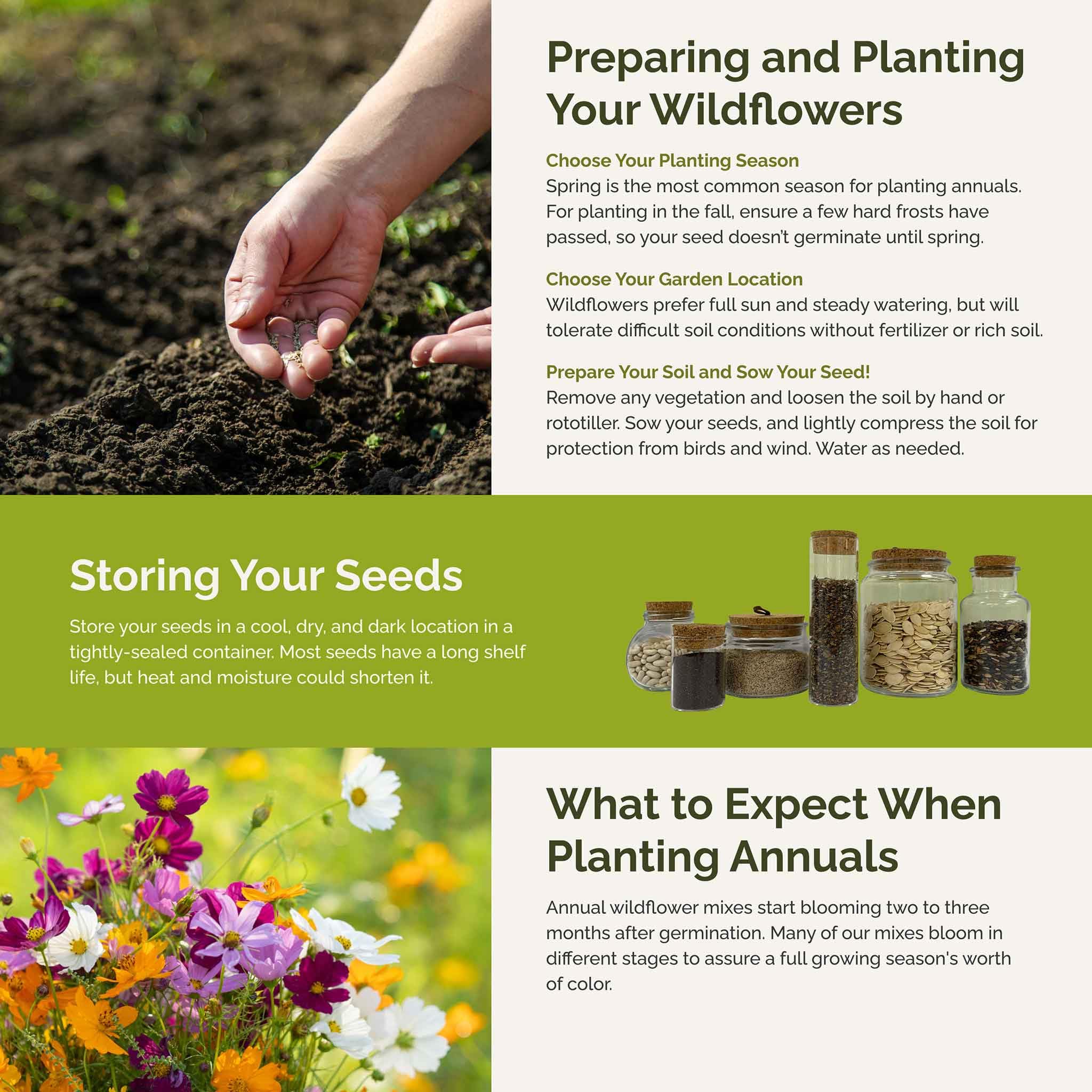Eden Brothers zones 3-10 mix thrives in sunny, low-maintenance plots.