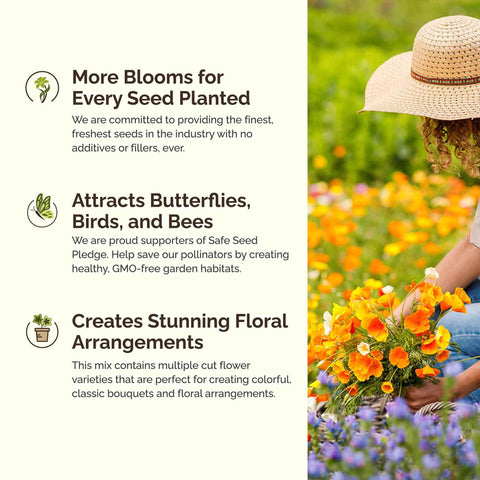 Eden Brothers wildflower seeds for zones 3-10 thrive in full sun.