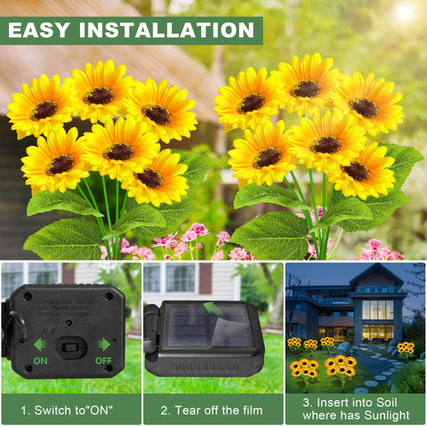 EDOF gift-ready sunflowers ideal for moms and grandmothers.