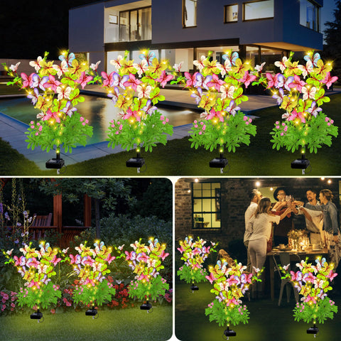 EDOF solar butterfly lights brighten walkways for evenings outdoors.
