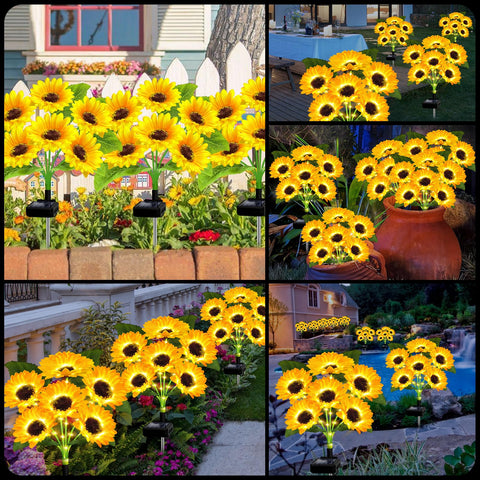 EDOF sunflower lights 6-pack night illumination provides subtle garden glow.