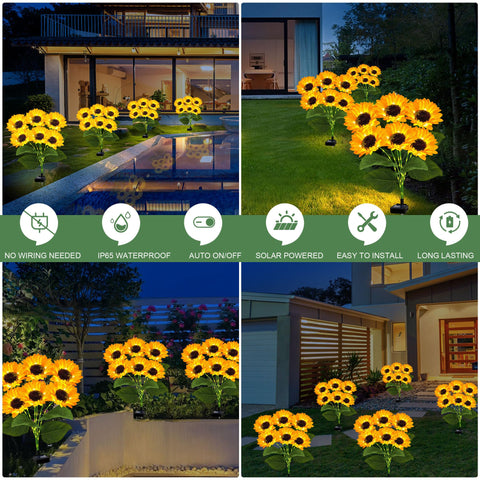 EDOF sunflowers show realistic petal detail for natural garden charm.