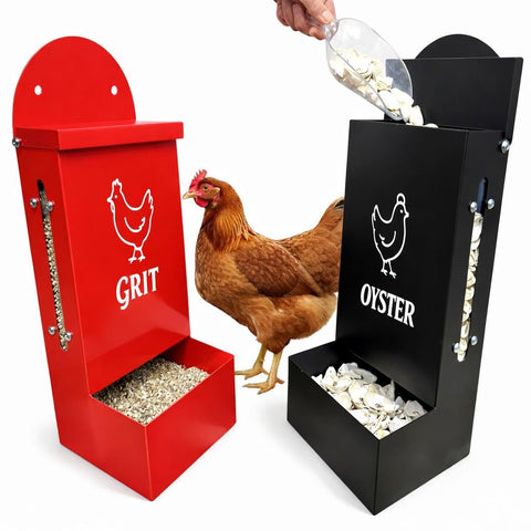 EDRISCO metal chicken feeder with lid and viewing window for easy feed monitoring