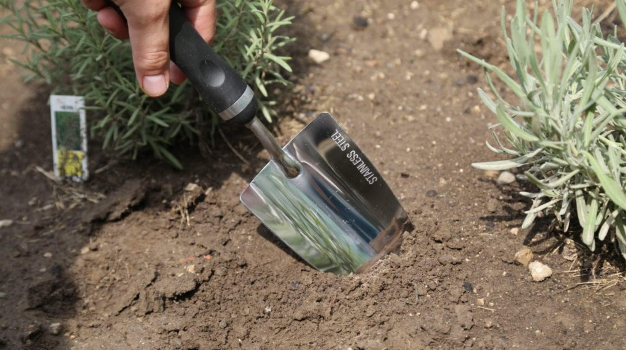 Edward Tools Bend-Proof Garden Trowel oversized head for quicker soil moves.