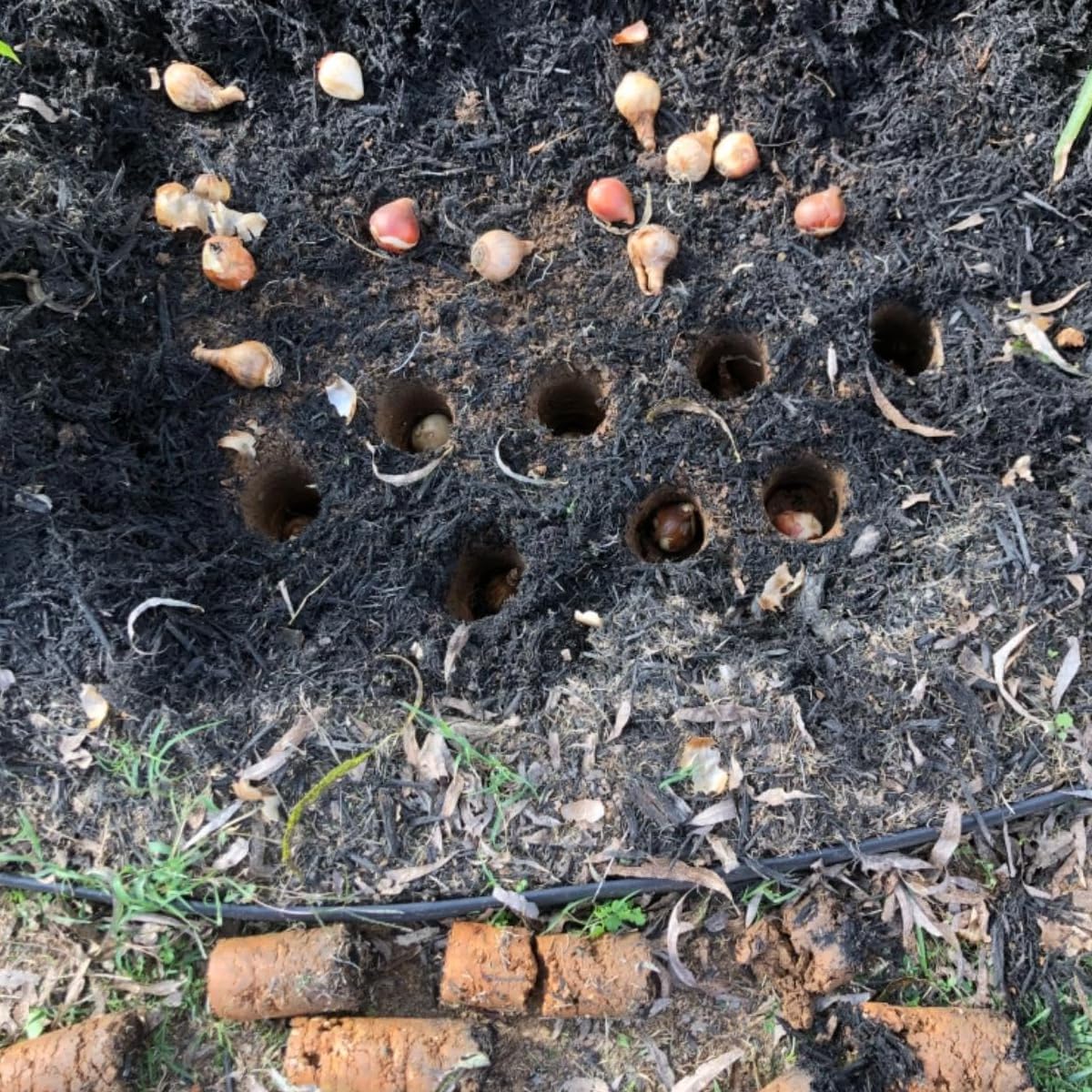 Edward Tools reinforced steel bulb planter handles heavy soil easily.