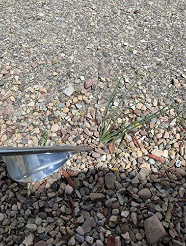 Edward Tools weeding tool enables quick organic weed control without chemicals.