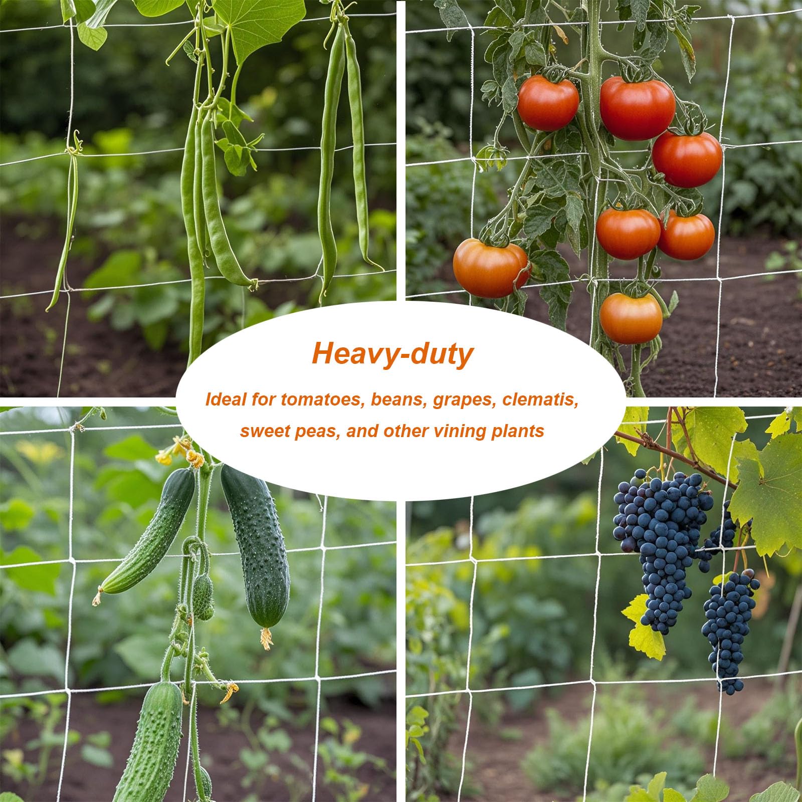 EDYCARX lightweight installation enables quick solo setup with hooks or ties.