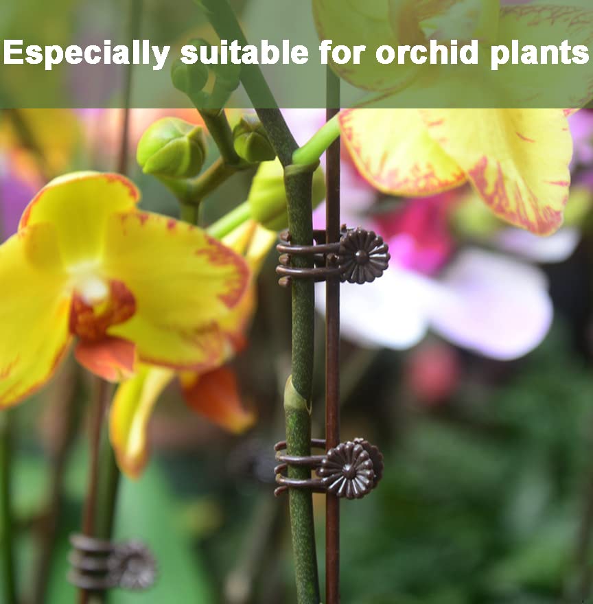 EESC2Y orchid clips spaced teeth prevent damage while guiding stems upward