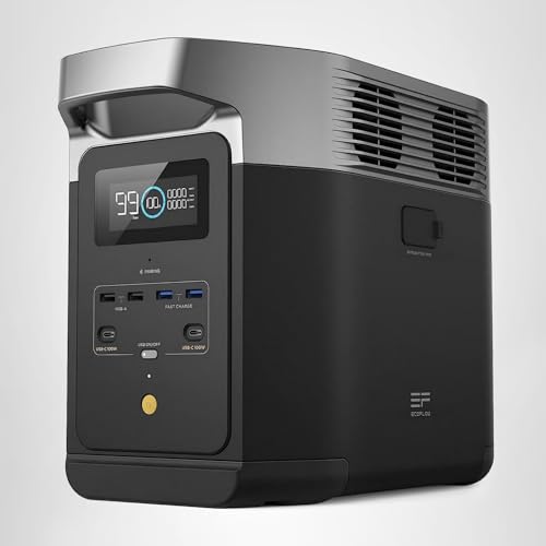 EF ECOFLOW Delta 2 back ports enable flexible connections for multiple devices.