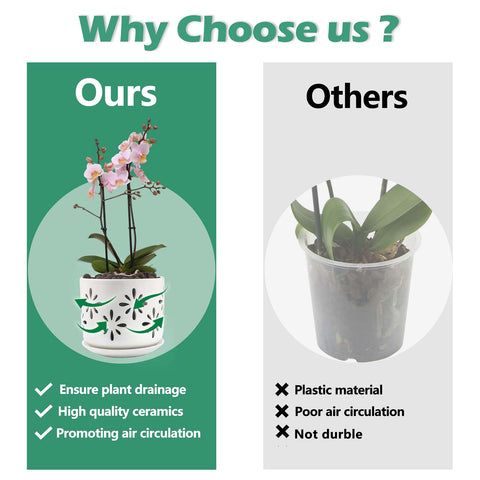 EFISPSS breathable pot with holes to support drainage and root health.