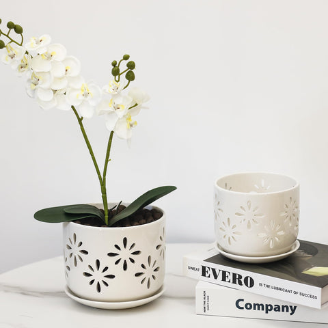 EFISPSS ceramic orchid pot in white glaze highlights breathable design for healthy roots.