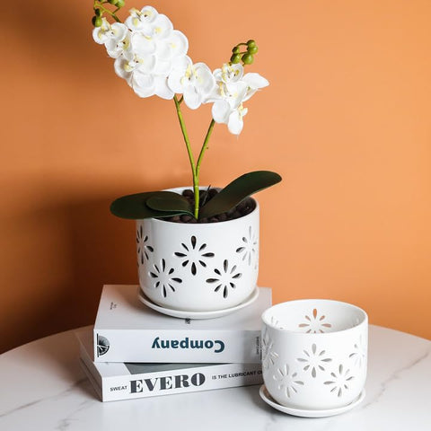 EFISPSS gift-ready orchid pot packaging for plant lovers.