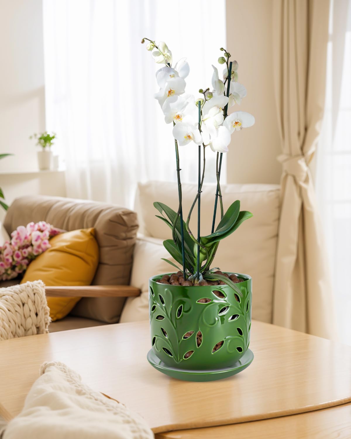 EFISPSS pot with holes promotes healthy root oxygenation and drainage collection.