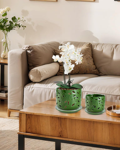 EFISPSS pot offers versatile indoor and outdoor placement for orchids.