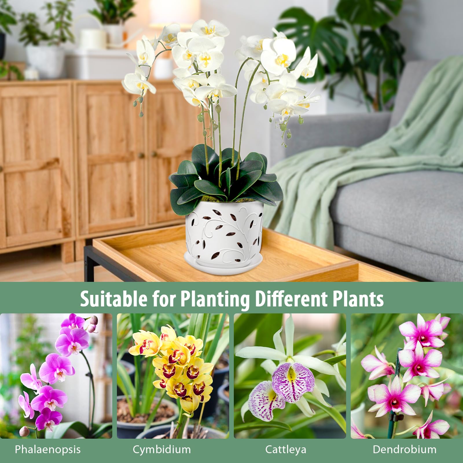 EFISPSS Orchid Pot gift-ready packaging inspires plant gifting
