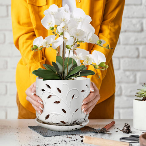 EFISPSS Orchid Pot tray included keeps surfaces clean